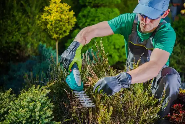 landscaping services Oneida